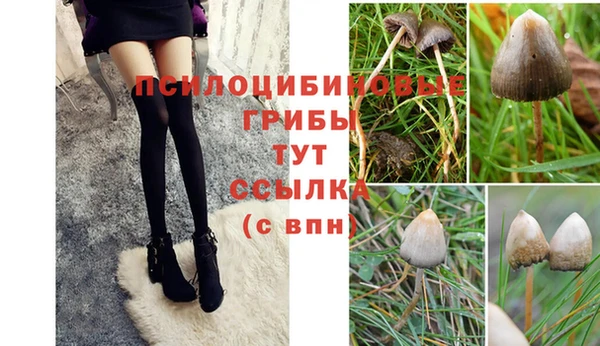 прущий лед Анжеро-Судженск